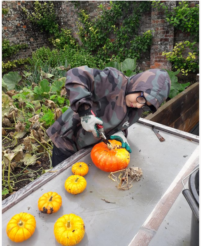 Image of Gardening success at Avebury Manor